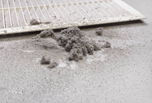 Best Affordable HVAC Duct Cleaning  in Perry, LA