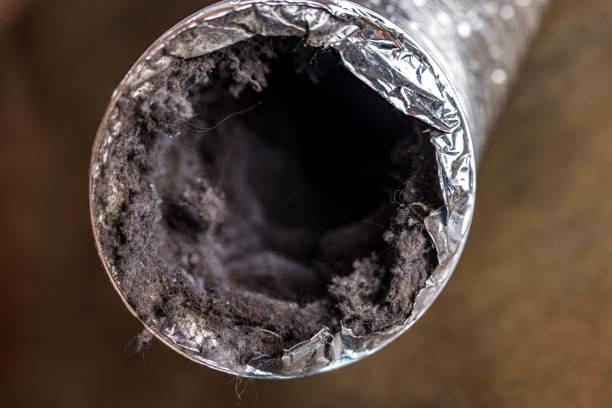 Best Affordable Duct Cleaning Services  in Perry, LA