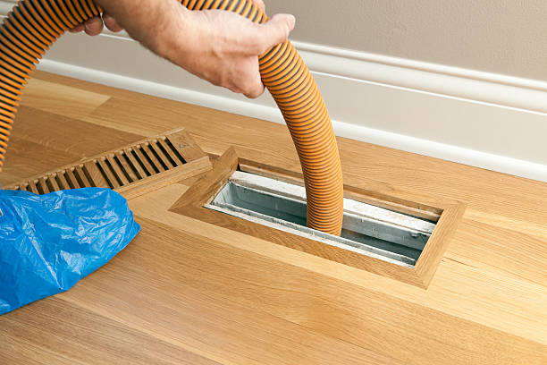 Best Affordable Duct Cleaning Services  in Perry, LA